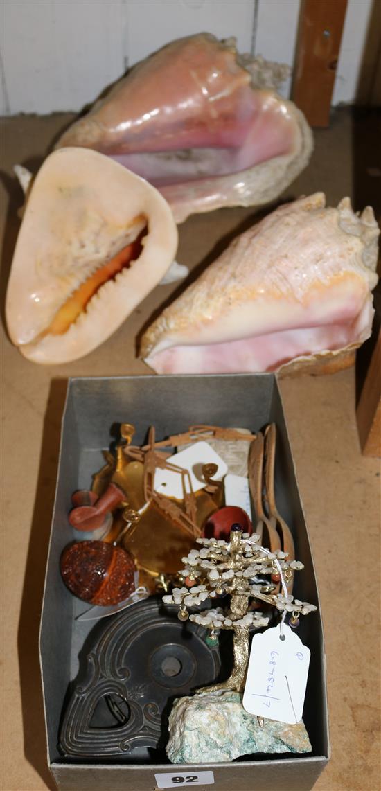 3 large conch shells, bronzed Roman oil lamp, treen nutmeg holder, ormolu tazza, quartz bonsai, sundry curios, etc